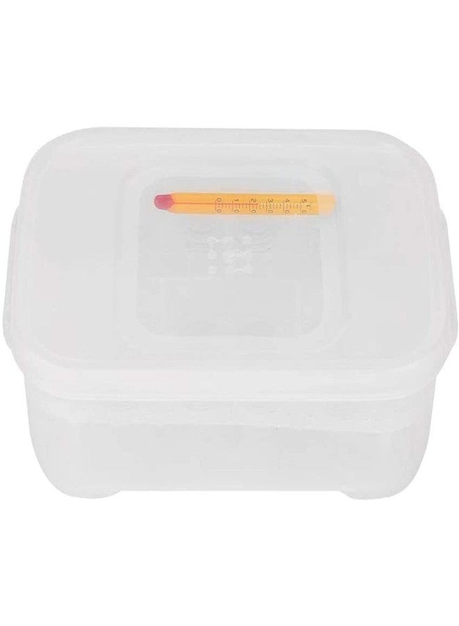 Still Awake Reptile Egg Incubator Professional Hatcher Hatching Box Case Tray Plastic Breeding Incubator for Hatching Snake,Lizards, Reptiles,Gecko(12 Slots with Thermometer) - Image 1